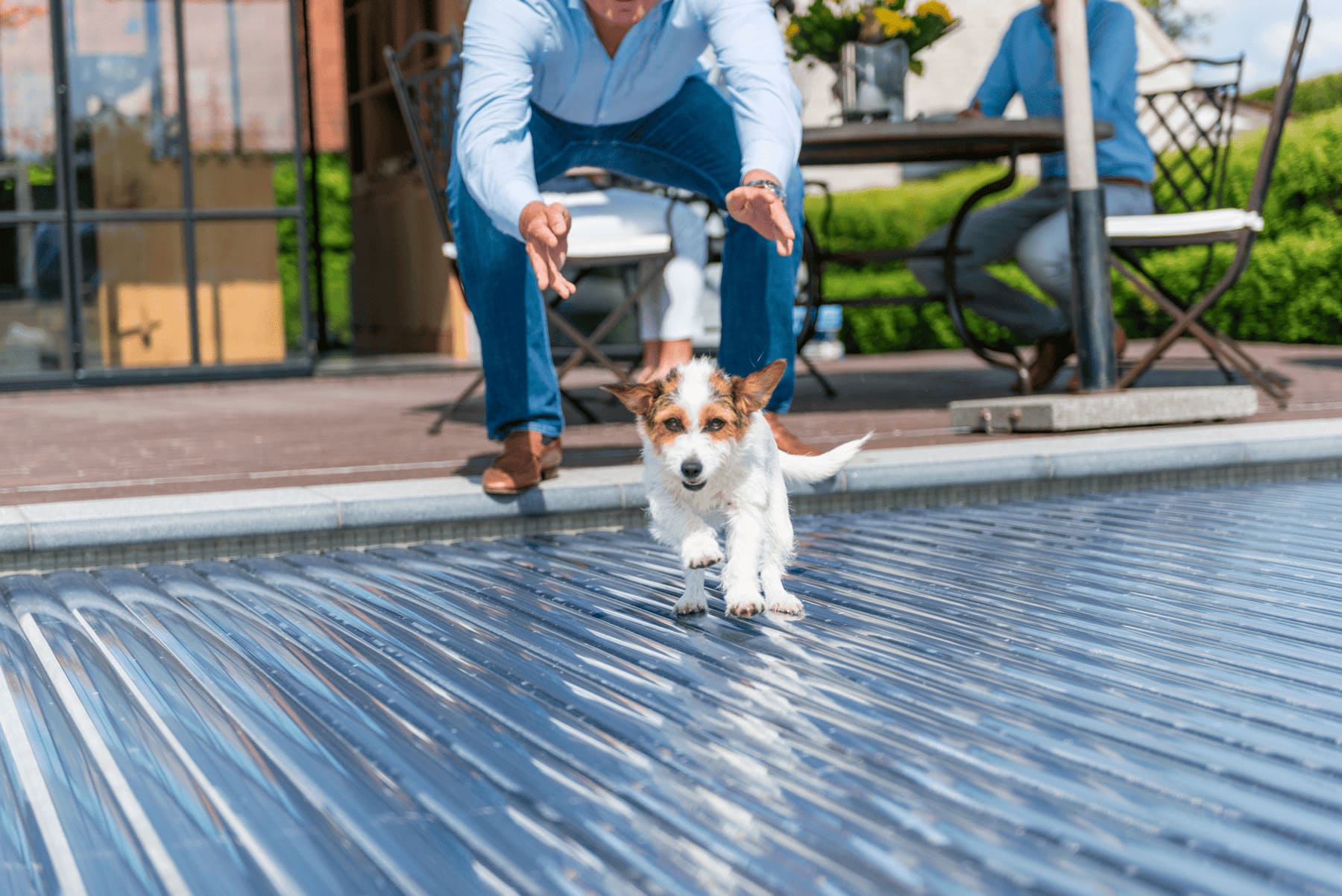 cubierta automática para perros