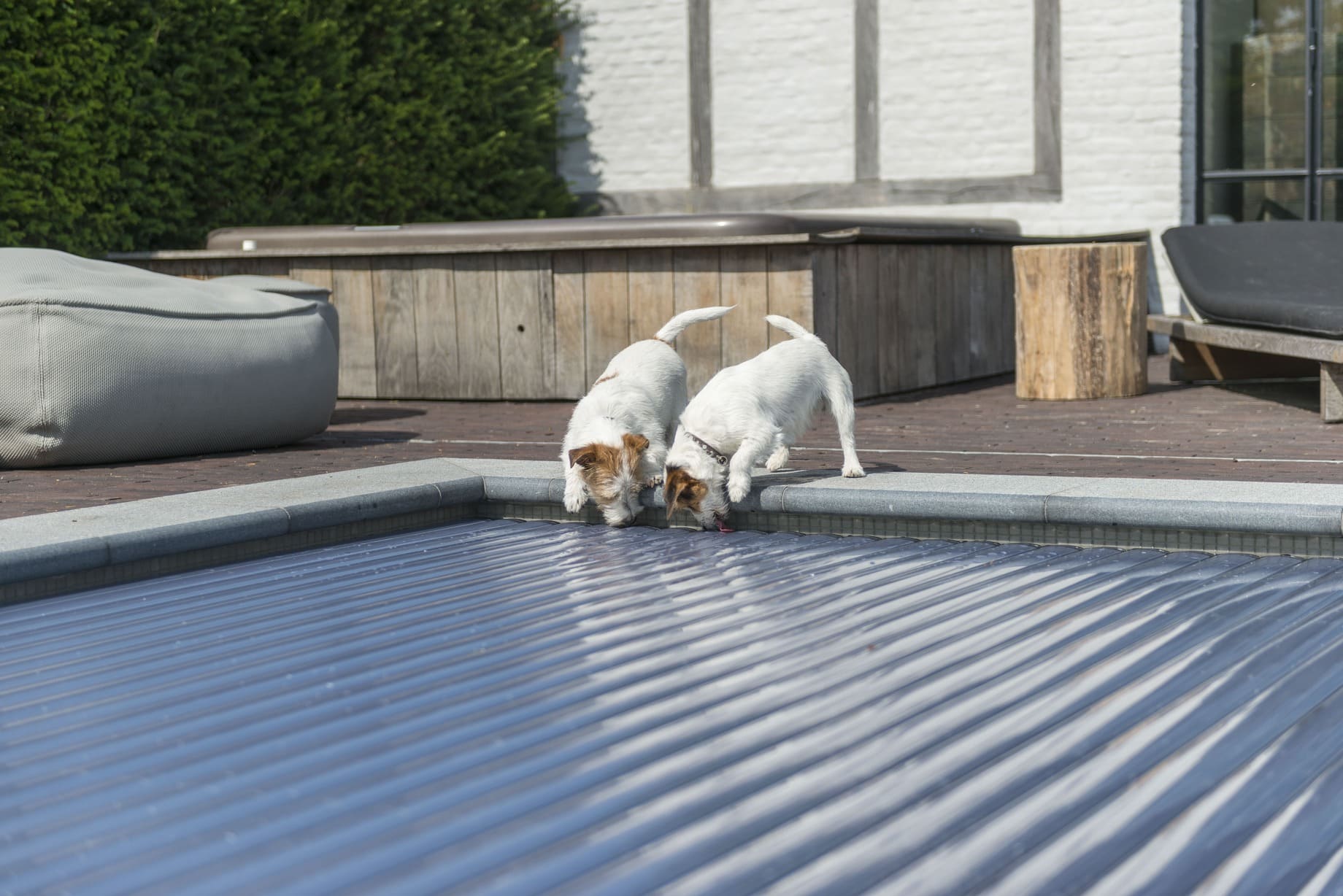 Cubiertas automáticas seguras de piscina para perros